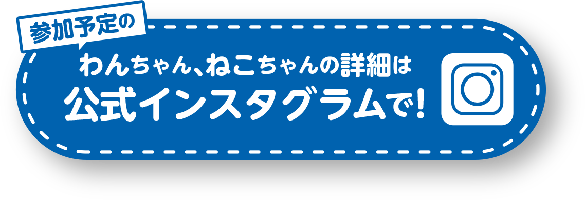 公式インスタグラム