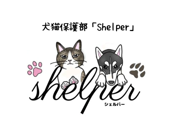 帝京科学大学 犬猫保護部「Shelper」