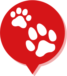 fukidashi
